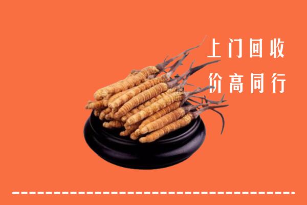 高价求购：枝江市回收散虫草